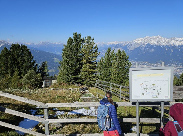 Alpine Garden Patscherkofel, Austria, Austria